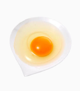 盘里的一颗生鸡蛋