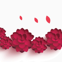 红色 玫瑰花