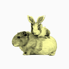 兔妈妈和小兔子