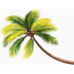 绿色海滩椰子树