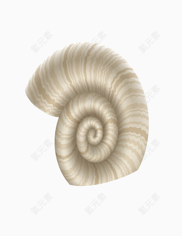 精美海螺