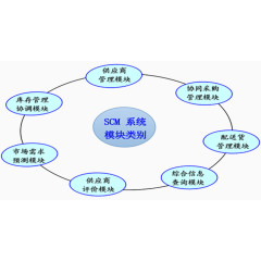 SCM系统类别