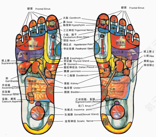 脚步穴位图
