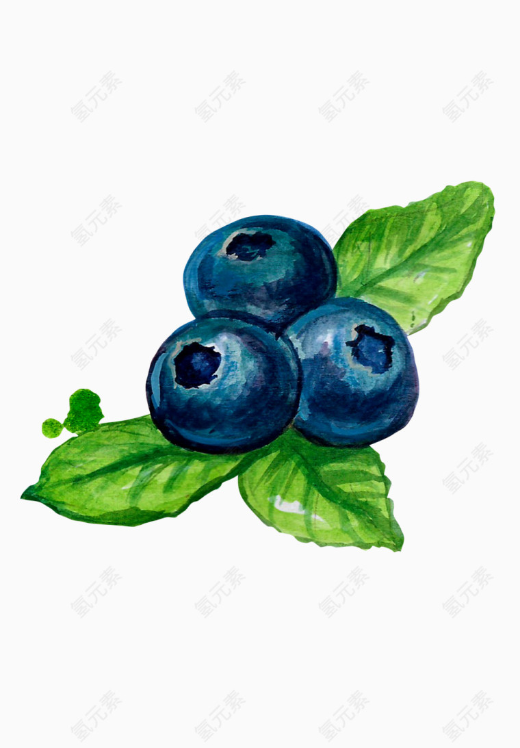 蓝莓手绘风