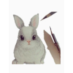 呆萌的手绘兔子
