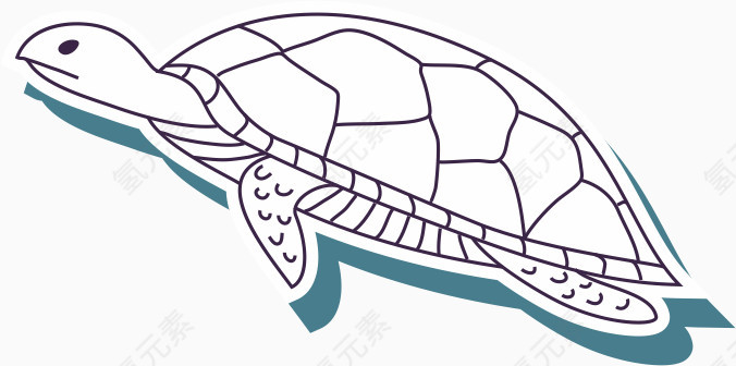 海龟