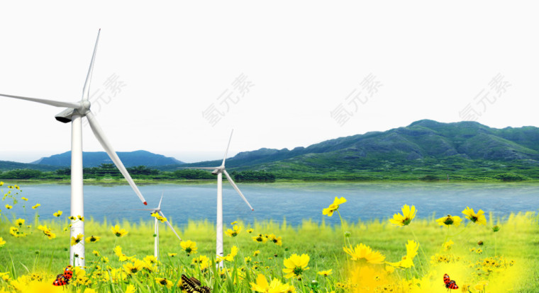 野菊花河流山川背景素材