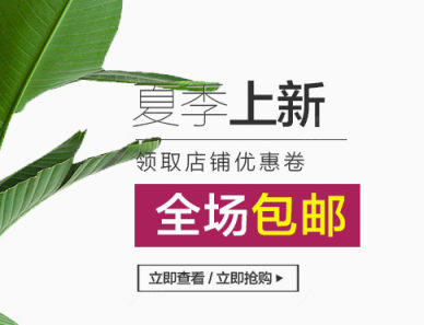 夏季上新下载