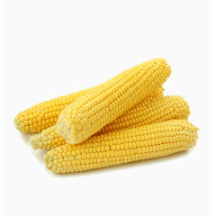 黄色的玉米