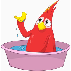 沐浴的鹦鹉