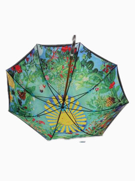 一把长柄伞