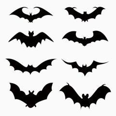 八种不同的蝙蝠