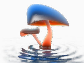 水中的蘑菇