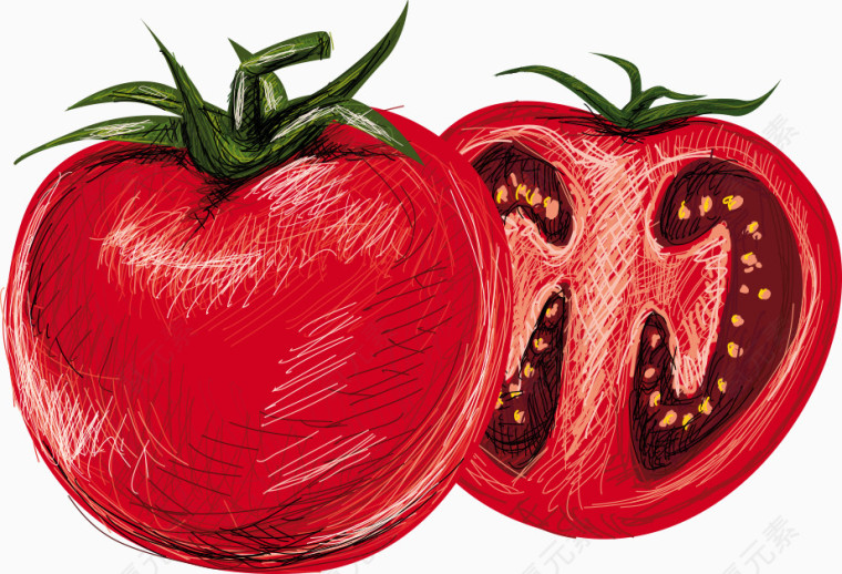 矢量红番茄