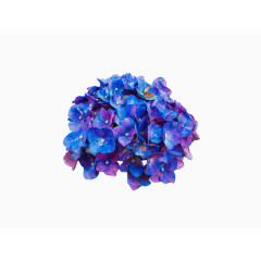 蓝紫色唯美花球素材
