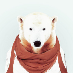 动物白熊