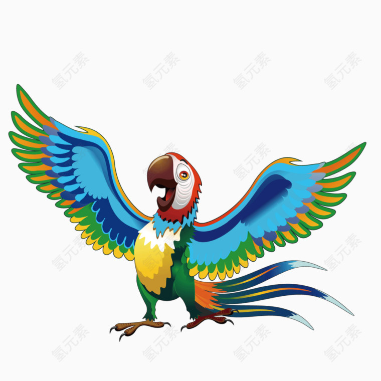 张开翅膀的彩色鹦鹉