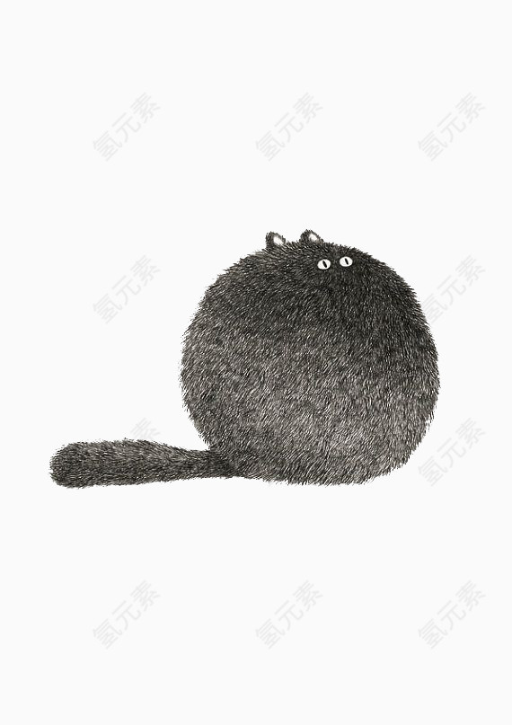 黑毛圆形猫