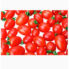 西红柿图片素材