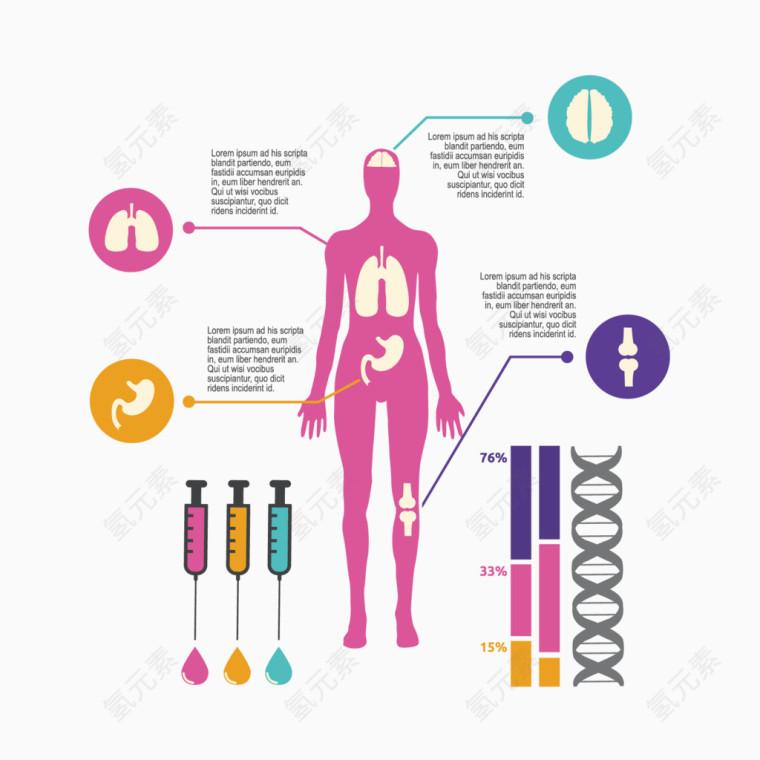 矢量医疗人体信息图