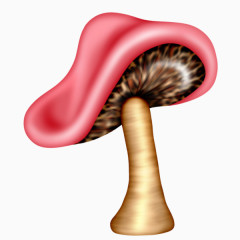 绘图豹纹蘑菇