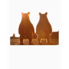 两只小熊看夕阳