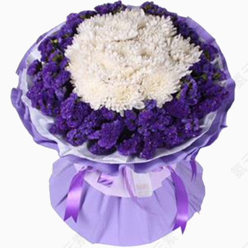 白色菊花搭紫色小花