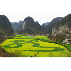 贵州龙宫风景区油菜花