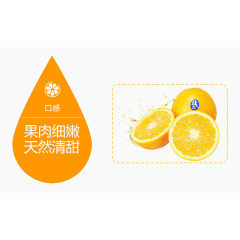 水果橙子水滴介绍图