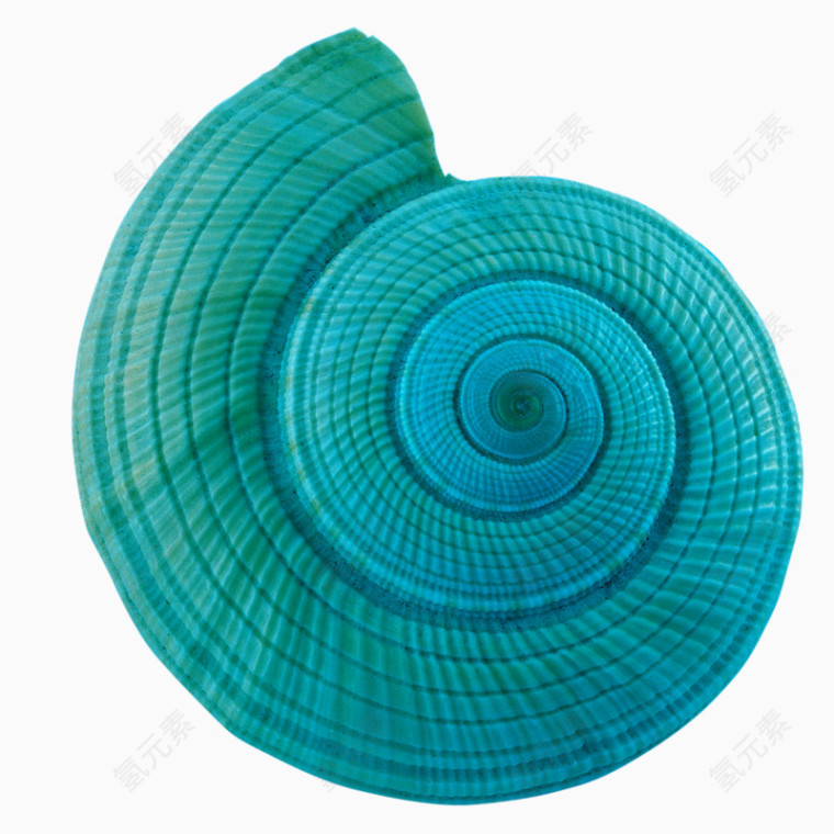 蓝色海螺