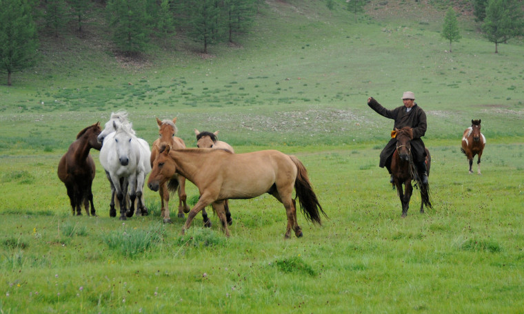 蒙古草原的牧民