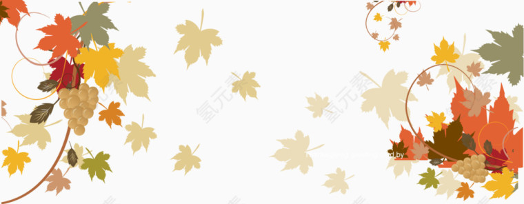 矢量秋天的枫叶和花纹