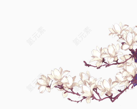 树梢上的梅花
