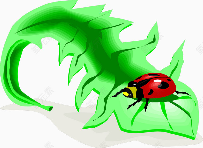 绿叶上的甲壳虫
