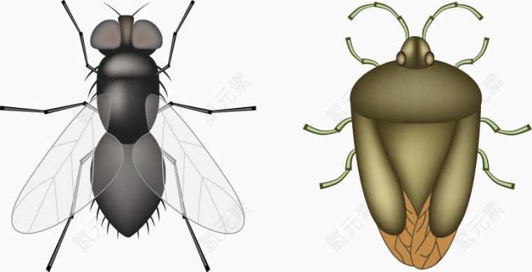 矢量手绘昆虫