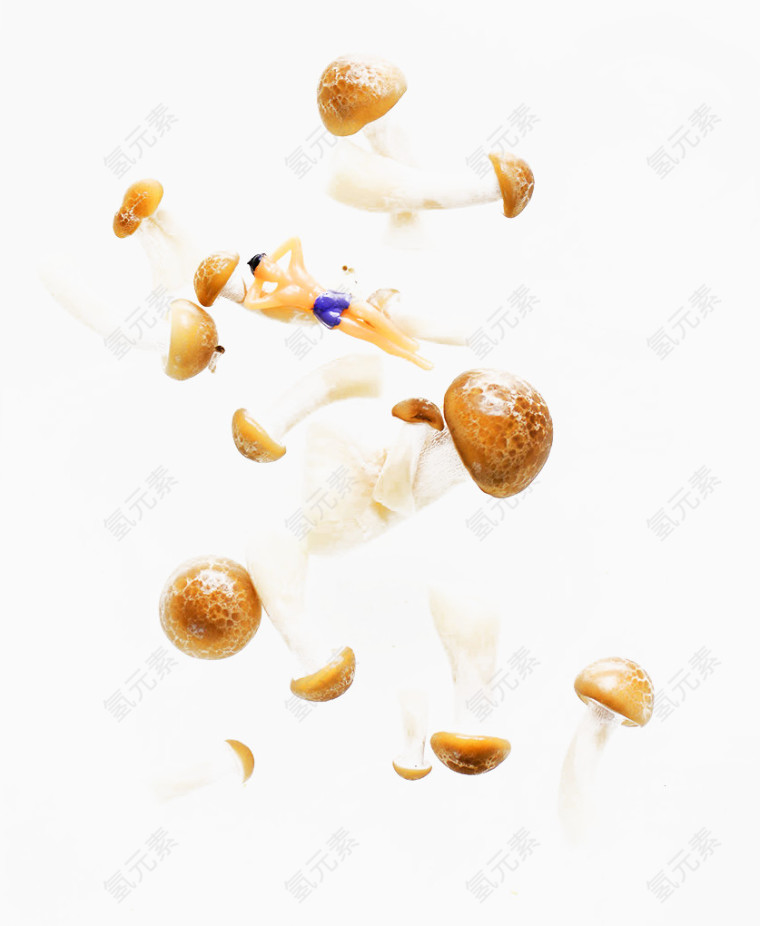 洒落的蘑菇背景图