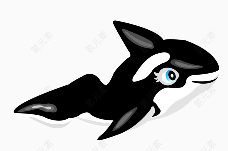 黑色鲨鱼