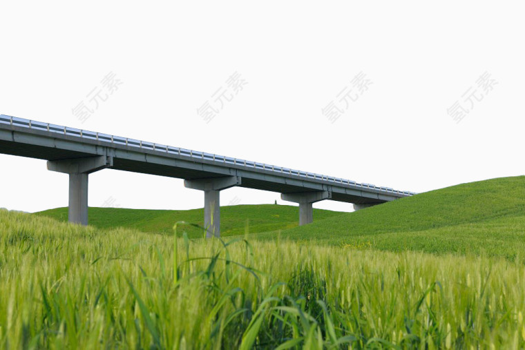 绿色草原上的高架桥