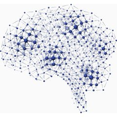 分子组成的大脑