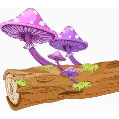 树桩上蘑菇