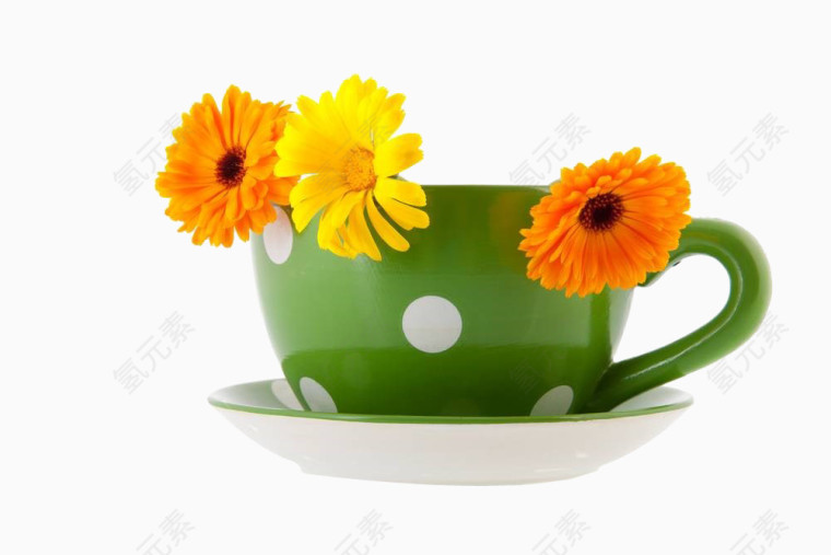 金盏菊和咖啡杯