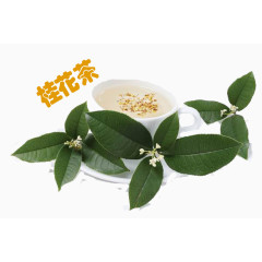 清香的桂花茶