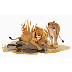 石头上休息的狮子和老虎