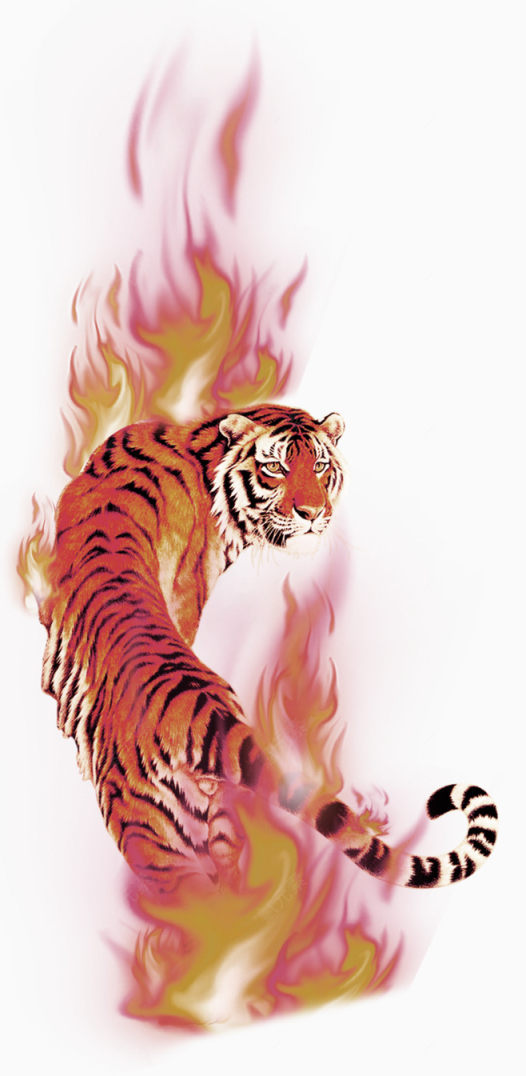 红色大气燃烧老虎装饰图案下载