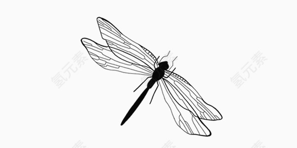中国风水墨画蜻蜓素材
