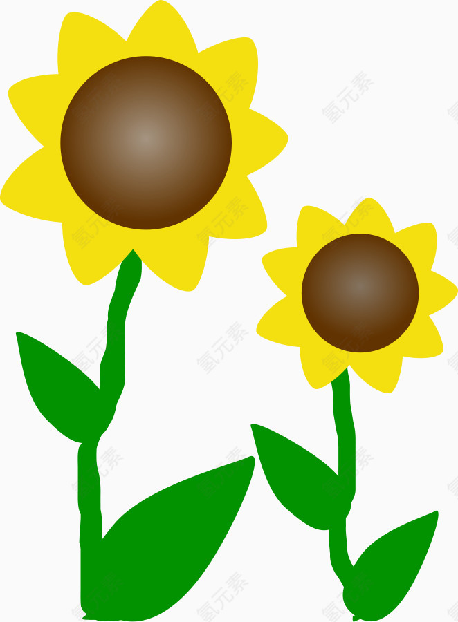 黄色向日葵花朵