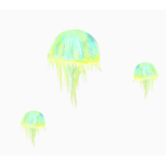 绿色半透明水母