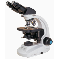 双眼显微镜
