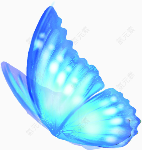 蓝色羽翼蝴蝶