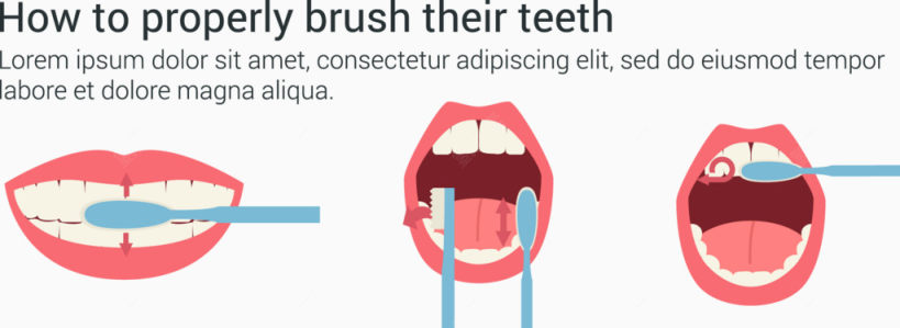 如何正确刷牙图片演示矢量素材下载